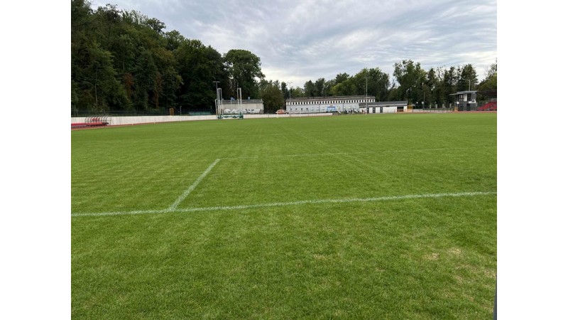 Murawa na Stadionie Miejskim przy al. Łyska 
